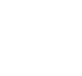 Coupled Icon White